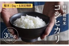 【先行予約】定期便 ≪6ヶ月連続お届け≫ 令和7年産 特別栽培米 コシヒカリ 精米 5kg×6回（計30kg） ／福井県産 ブランド米 コシヒカリ ご飯 白米 新鮮 特別栽培米 【2025年10月上旬より順次発送予定】 [aw121-i001]