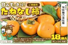 【先行予約】【訳あり】甘みすっきり！あわらのたねなし柿 約3.5kg（18個入）（ご家庭用） ／ 果物 フルーツ かき 種なし  産地直送 期間限定 ※2025年10月中旬以降順次発送 [aw031-a006]