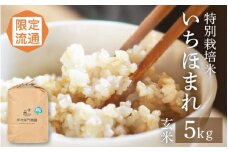 【令和6年産】限定流通 伊与衛門農園 特別栽培いちほまれ玄米 5kg ／ 農薬不使用 高品質 鮮度抜群 福井県 あわら市熊坂産 ブランド米 玄米 [aw071-b003]