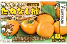 【先行予約】【訳あり】 甘みすっきり！あわらのたねなし柿 約8kg（32個～40個）（ご家庭用） ／ 果物 フルーツ かき 種なし  産地直送 期間限定 ※2025年10月中旬以降順次発送 [aw031-a004]