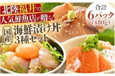 人気鮮魚店が贈る！海鮮漬け丼 3種セット ／ 海鮮丼 鯛 サーモン さわら はまち ぶり あじ 冷凍パック [aw002-a012]