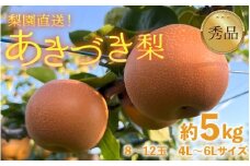 【先行予約】上野梨園のあきづき梨 5㎏箱入り（8～12玉入）/ 梨園直送【上野の梨】 / 期間限定 果物 フルーツ 農家直送 シャキシャキ もぎたて 旬 お取り寄せ ※2025年9月下旬より順次発送 [aw077-a009]
