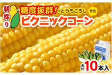【先行予約】朝採り ピクニックコーン 黄色 10本入《生でも食べれる！希少品》 ／ 野菜 とうもろこし スイートコーン ※2026年6月上旬以降順次発送 [aw028-a007]
