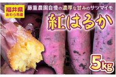 【先行予約】福井県あわら市産 藤重農園自慢の濃厚な甘みのサツマイモ 紅はるか 5kg / さつまいも 紅はるか べにはるか さつま芋 国産 土付き 芋 産地直送 熟成 サツマイモ ※2025年11月中旬以降順次発送 [aw083-a002]