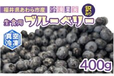 【訳あり】冷凍果実 福井県あわら市産 生食用ブルーベリー 真空冷凍 400g / ブルーベリー 冷凍 国産 目の健康 大粒 抗酸化作用 フルーツ 果物 お取り寄せ [aw007-a008]
