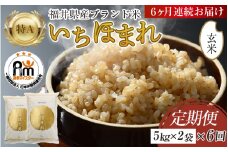 【令和7年産・新米】定期便6回 いちほまれ 玄米 10kg×6回（計60kg）《新鮮な高品質米をお届け！》／ 福井県産 ブランド米 ご飯 [aw064-l002]