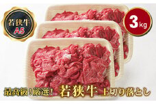 若狭牛上切り落とし（モモ・カタ・バラ）（A5ランク）　3.0ｋｇ
