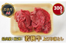 若狭牛上切り落とし（モモ・カタ・バラ）（A5ランク）　300ｇ