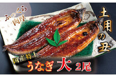 国産！特上うなぎのかば焼き 約200g × 2尾