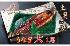 国産！特上うなぎのかば焼き 約200g × 1尾