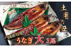 国産！特上うなぎのかば焼き 約200g × 3尾