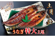 国産！特上うなぎのかば焼き 約250g × 2尾