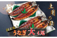 国産！特上うなぎのかば焼き 約200g × 4尾