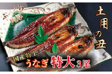 国産！特上うなぎのかば焼き 約250g × 3尾