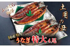 国産！特上うなぎのかば焼き 約250g × 4尾
