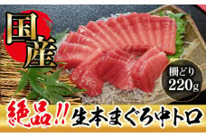 【冷蔵・指定日着可】 生本マグロ 中トロ 220g（柵どり）