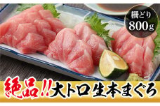 【冷蔵・指定日着可】生本マグロ 大トロ 800g（柵どり）