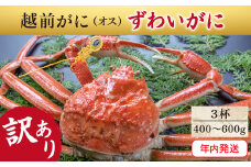 【年内発送・指定日着可】越前がに（オス）「ずわいがに」（400g～600g）訳あり 3杯