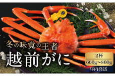 【年内発送・指定日着可】越前がに（オス）「ずわいがに」中サイズ（600g～800g） 2杯