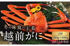 【2025年発送・指定日着可】越前がに（オス）「ずわいがに」中サイズ（600g～800g） 2杯