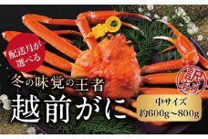 【年内発送・指定日着可】越前がに（オス）「ずわいがに」中サイズ（600g-800g） 訳あり 1杯