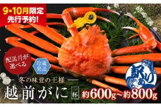 【年内発送・指定日着可】【先行予約 9月10月限定】越前がに（オス）「ずわいがに」中サイズ（600g-800g） 訳あり 1杯