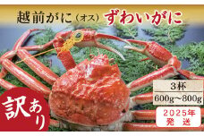 【2025年発送・指定日着可】越前がに（オス）「ずわいがに」中サイズ（600g-800g）訳あり 3杯