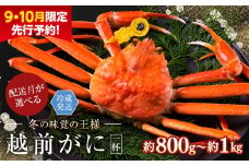 【2026年1月発送・月指定可】【先行予約 9月10月限定】越前がに（オス）「ずわいがに」 大サイズ（800g-1kg） 1杯