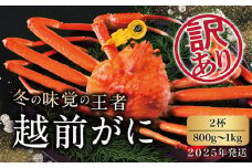 【2025年発送・指定日着可】越前がに（オス）「ずわいがに」大サイズ（800g-1kg） 訳あり 2杯