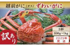 【2025年発送・指定日着可】越前がに（オス）「ずわいがに」大サイズ（800g-1kg） 訳あり 3杯