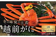 【2025年発送・指定日着可】越前がに（オス）「ずわいがに」特大サイズ（1.0-1.2kg） 1杯