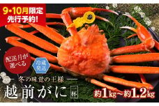【2026年1月発送・指定日着可】【先行予約 9月10月限定】越前がに（オス）「ずわいがに」特大サイズ（1.0-1.2kg） 1杯
