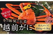 【年内発送・指定日着可】越前がに（オス）「ずわいがに」特大サイズ（1.0-1.2kg） 訳あり 1杯