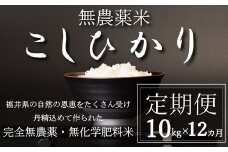 〈令和6年産〉【定期便12回】無農薬米10㎏×12回（こしひかり）玄米