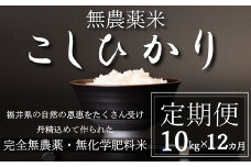 〈令和7年産〉【定期便12回】無農薬米10㎏×12回（こしひかり）白米
