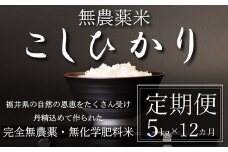 〈令和6年産〉【定期便12回】無農薬米5㎏×12回（こしひかり）玄米