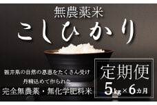 〈令和6年産〉【定期便6回】無農薬米5㎏×6回（こしひかり）玄米
