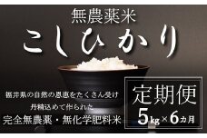 〈令和7年産〉【定期便6回】無農薬米5㎏×6回（こしひかり）白米