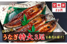 【定期便２回】国産！特上うなぎのかば焼き 約250g × 3尾 × 2回お届け （毎月お届け）