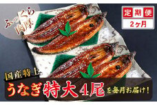 【定期便２回】国産！特上うなぎのかば焼き 約250g × 4尾 × 2回お届け （毎月お届け）