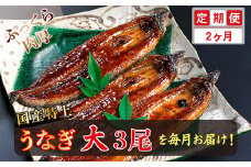 【定期便２回】国産！特上うなぎのかば焼き 約200g × 3尾× 2回お届け （毎月お届け）