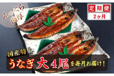 【定期便２回】国産！特上うなぎのかば焼き 約200g × 4尾 × 2回お届け （毎月お届け）