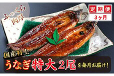 【定期便３回】国産！特上うなぎのかば焼き 約250g × 2尾 × 3回お届け （毎月お届け）