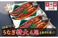 【定期便３回】国産！特上うなぎのかば焼き 約250g × 4尾 × 3回お届け （毎月お届け）