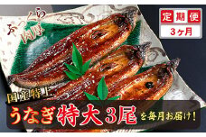 【定期便３回】国産！特上うなぎのかば焼き 約250g × 3尾 × 3回お届け （毎月お届け）