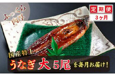 【定期便３回】国産！特上うなぎのかば焼き 約200g × 5尾 × 3回お届け （毎月お届け）