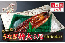 【定期便３回】国産！特上うなぎのかば焼き 約250g × 5尾 × 3回お届け （毎月お届け）
