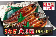 【定期便３回】国産！特上うなぎのかば焼き 約200g × 3尾 × 3回お届け （毎月お届け）