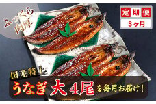 【定期便３回】国産！特上うなぎのかば焼き 約200g × 4尾 × 3回お届け （毎月お届け）