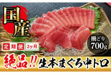 【定期便2回】冷蔵でお届け！大満足！生本マグロ 中トロ（柵どり） 700g × 2回お届け （毎月お届け）